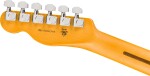 Fender American Professional Hot Shot Telecaster RW 3TS
