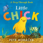 Little Chick - Petr Horáček