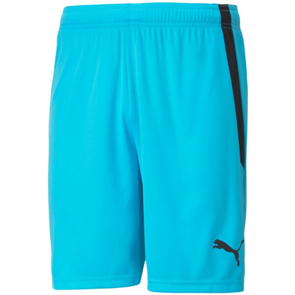 Šortky Puma teamLIGA M 704924 40 L
