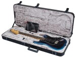 Fender American Professional II Stratocaster RW DK NIT