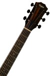 Taylor 214ce-BLK DLX (rozbalené)