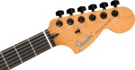 Fender LE Player II Advanced Stratocaster HSS HT EB BL