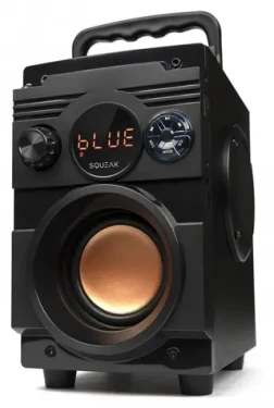 BassBlaster SQ1001 černá / Bluetooth reproduktor / 20 W / BT 5.1 / FM rádio / Výdrž až 7h (SQ1001)