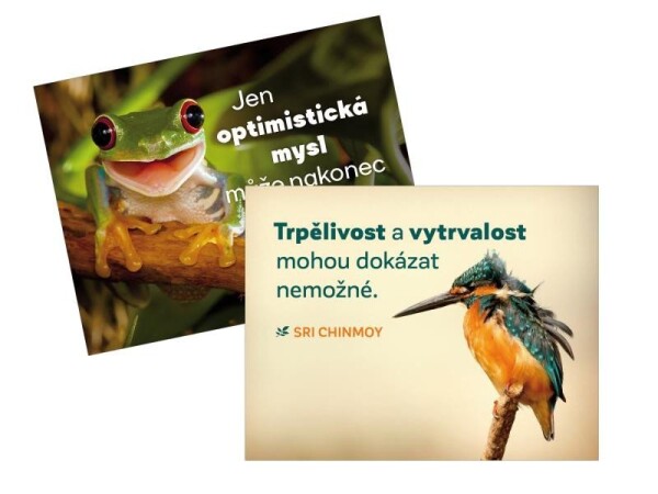 Magnet na lednici 2 ks &quot;Trpělivost + Jen optimistická&quot; - Sri Chinmoy