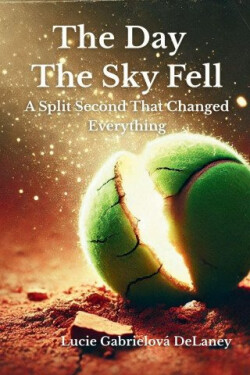 The Day the Sky Fell - Lucie Gabrielová Delaney