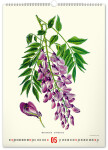Nástěnný kalendář 2027 Notique Vintage herbář, 33 × 46 cm