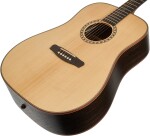 Dowina Danubius DE-S StagePro