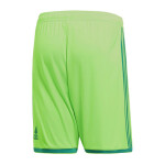 Pánské kraťasy Regista 18 Short CF9598 Adidas