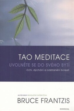 Tao meditace - Bruce Frantzis