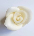 Dortisimo Cukrová růže střední bílá perleťová (25 ks)