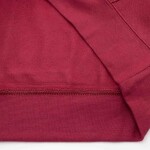 Nike Pánská mikina Philadelphia Phillies MLB Club Cooperstown Splitter Hoodie Maroon Velikost: S