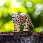 Safari Ltd. Safari Ltd. Figurka - Levhart obláčkový