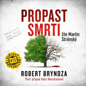 Propast smrti - Robert Bryndza - audiokniha