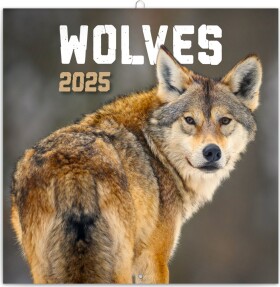 Kalendář 2025 poznámkový: Vlci, 30 30 cm