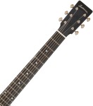 Eastman E1D-DLX