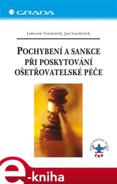 Pochybení a sankce při poskytování ošetřovatelské péče - Lubomír Vondráček, Jan Vondráček e-kniha