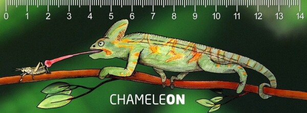 Pravítko 3D - Chameleon