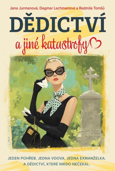 Dědictví a jiné katastrofy - Radmila Tomšů