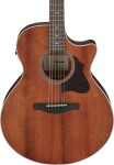 Ibanez AE140 OPN