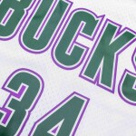Mitchell & Ness Pánský dres Milwaukee Bucks NBA Ray Allen #34 1996-97 Swingman - Bílá Velikost: S
