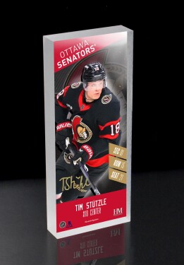 Obraz Ottawa Senators NHL Edmonton Oilers Player Ticket 3D Block Art
