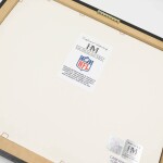 Obraz Buffalo Bills NFL Team Stadium Bronze Coin