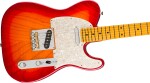 Fender American Professional Telecaster MN ACB