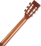 Takamine P3NY
