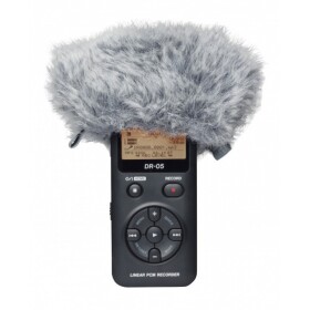 Tascam WS-11