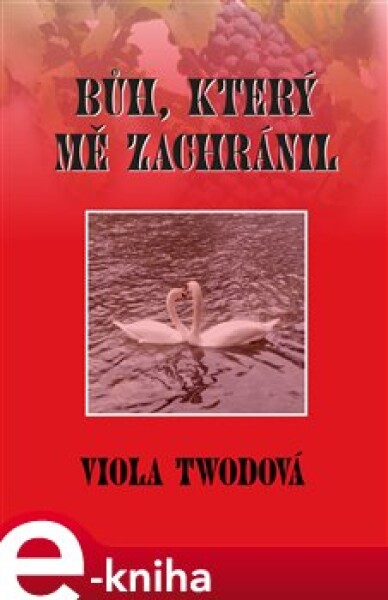 Bůh, který mě zachránil - Viola Twodová e-kniha