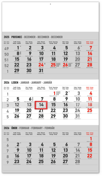 Nástěnný kalendář 2026 NOTIQUE - Tříměsíční standard šedý - s českými jmény
