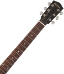 Eastman PCH2-D