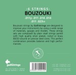 Galli BM60 6-String Silverplated