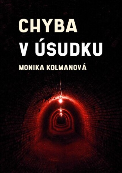 Chyba v úsudku - Monika Kolmanová - e-kniha