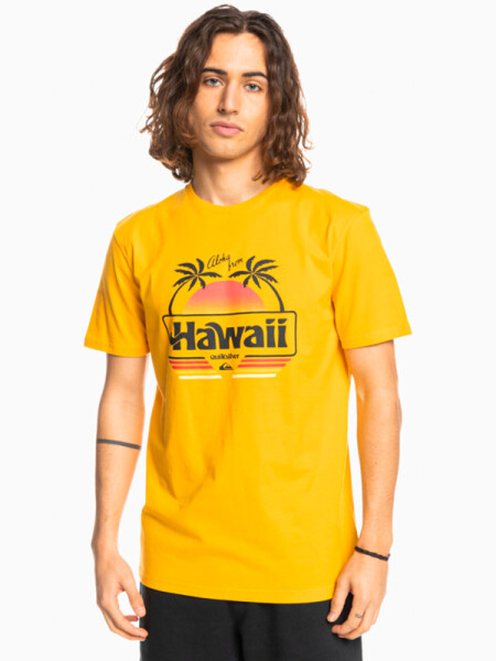 Quiksilver ALOHA GOLDEN ROD pánské tričko s krátkým rukávem - S