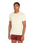 Pánské merino tričko s krátkým rukávem ICEBREAKER Mens Anatomica SS Crewe, Undyed velikost: M