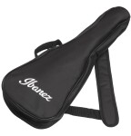 Ibanez AUC10E Natural