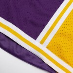 Mitchell & Ness Pánské kraťasy Los Angeles Lakers NBA 1984-85 Swingman Shorts Velikost: 2XL
