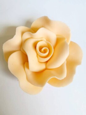 Dortisimo Cukrová růže velká broskvová (9 ks)