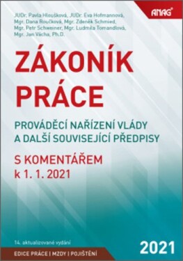 Zákoník práce, prováděcí nařízení vlády a další související předpisy s komentářem k 1. 1. 2021 - Pavla Hloušková