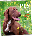 Nástěnný kalendář 2027 Aria Pes - věrný přítel