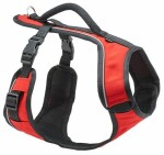 PetSafe Postroj EasySport