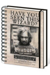 Harry Potter: Zápisník - Sirius Black / A5 kroužkový, linkovaný - EPEE Merch - Pyramid