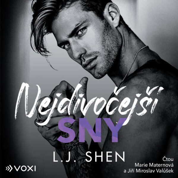 Nejdivočejší sny - L.J. Shen - audiokniha
