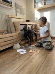 Mamido Dřevěná veterinární sada v kufříku – Malý veterinář