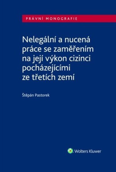 Nelegální nucená práce se zaměřením na její výkon