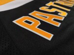 Fanda-NHL.cz Potisk dresu REPRE vlastním jménem a číslem Hodnota: 4. Personalizace twillový lepený textil s obšitím (jméno a číslo na zádech + čísla na rukávech)