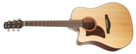 Ibanez AAD170LCES Natural