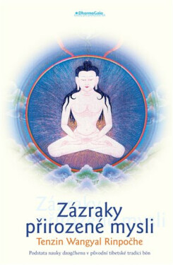 Zázraky přirozené mysli. - Tenzin Wangyal Rinpoche