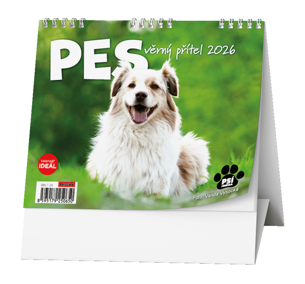 Stolní kalendář 2026 Baloušek IDEÁL - Pes - věrný přítel /s psími jmény/